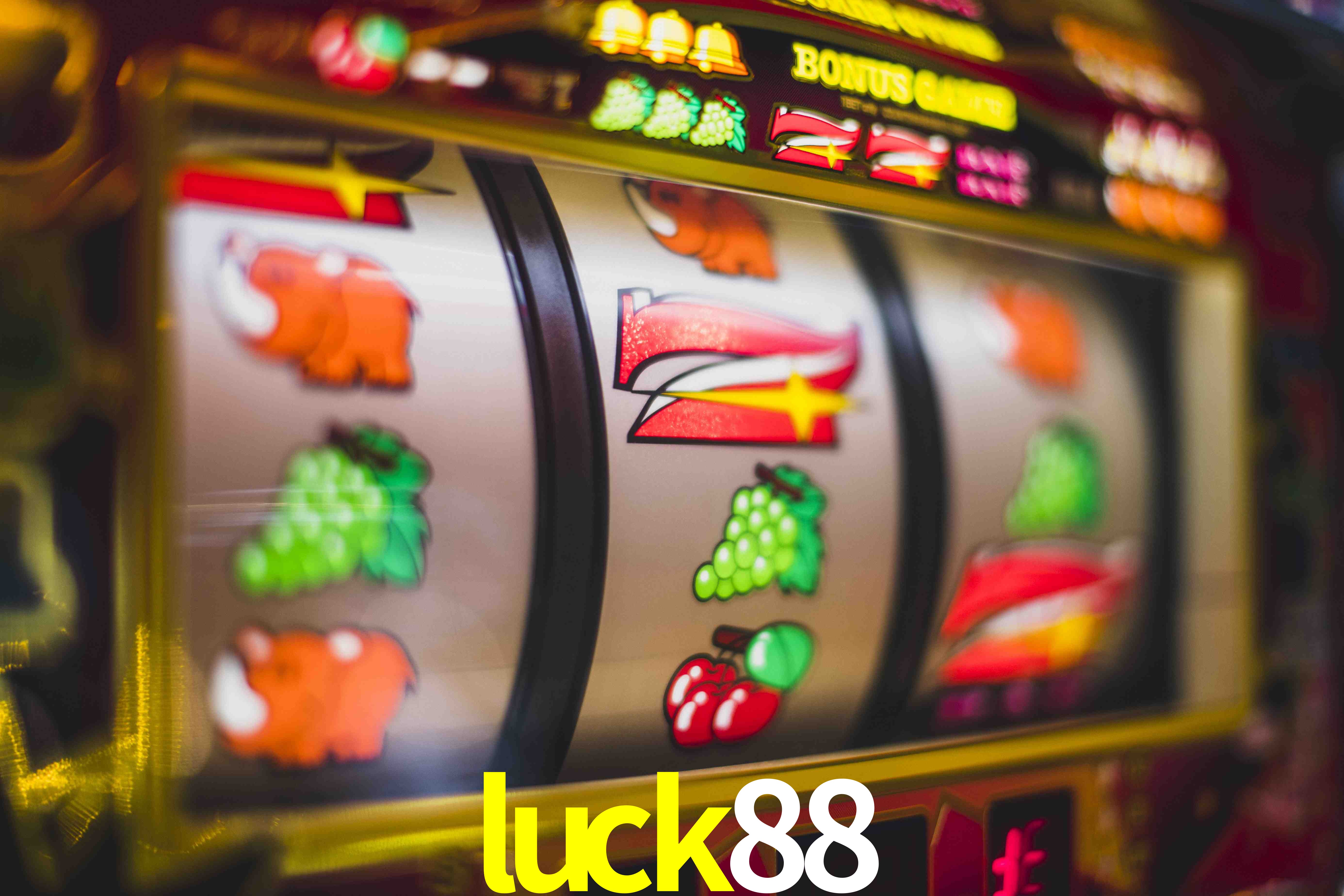 Sports Statistics luck88